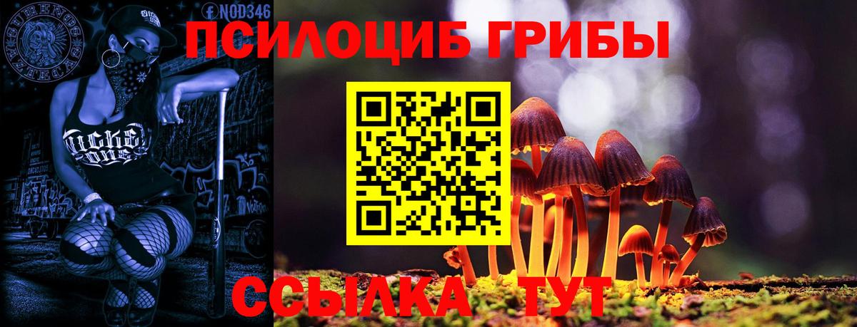 Псилоцибиновые грибы прущие грибы  Вход с VPN  Сунжа  Псилоцибиновые грибы GOLDEN TEACHER 